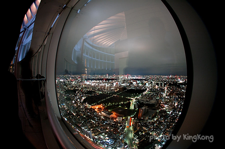 tokyo skyview 06.jpg - Night Shot